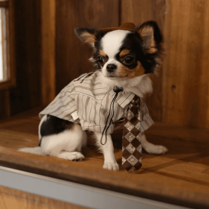 Gentleman Pet Shirt – Fall Dog & Cat Apparel