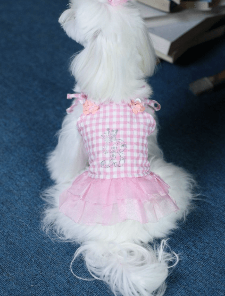 BELO Bubble Skirt Pet Dress in Pink – Cute Dog / Puppy Dress Outfit