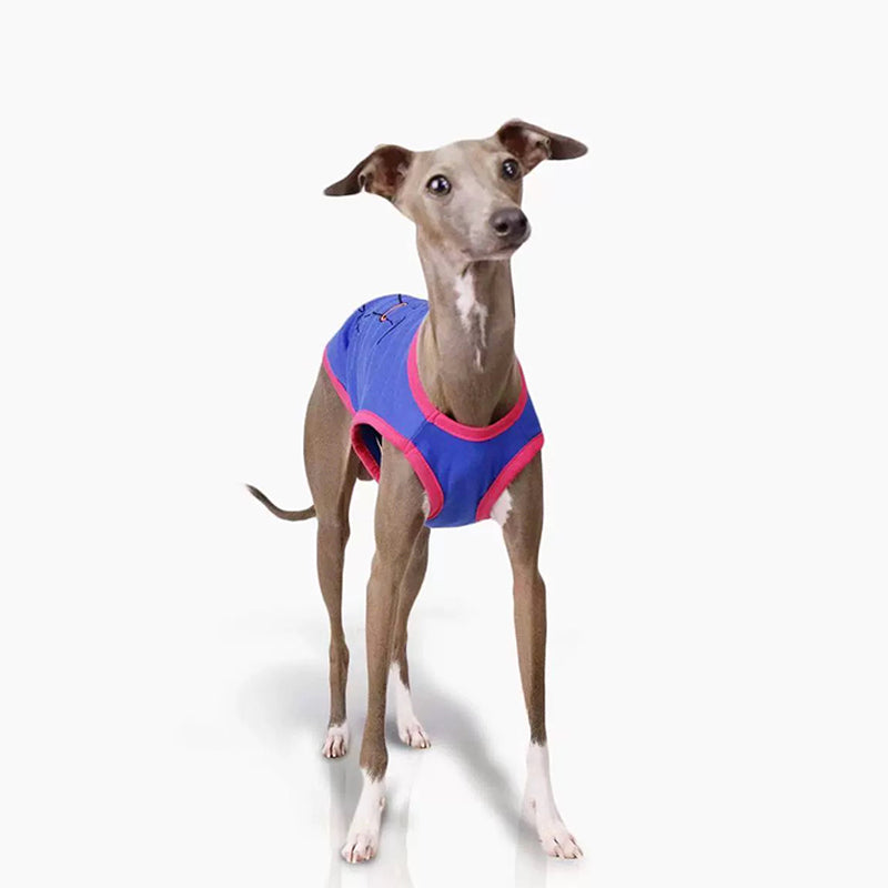 Cotton Soft Tank Top Shirt Italian Greyhound Whippet Dog Clothes - PIKAPIKA