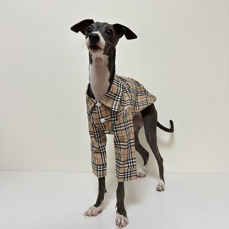 Soft Cotton Shirt for Italian Greyhound Whippet Dog Clothes - PIKAPIKA