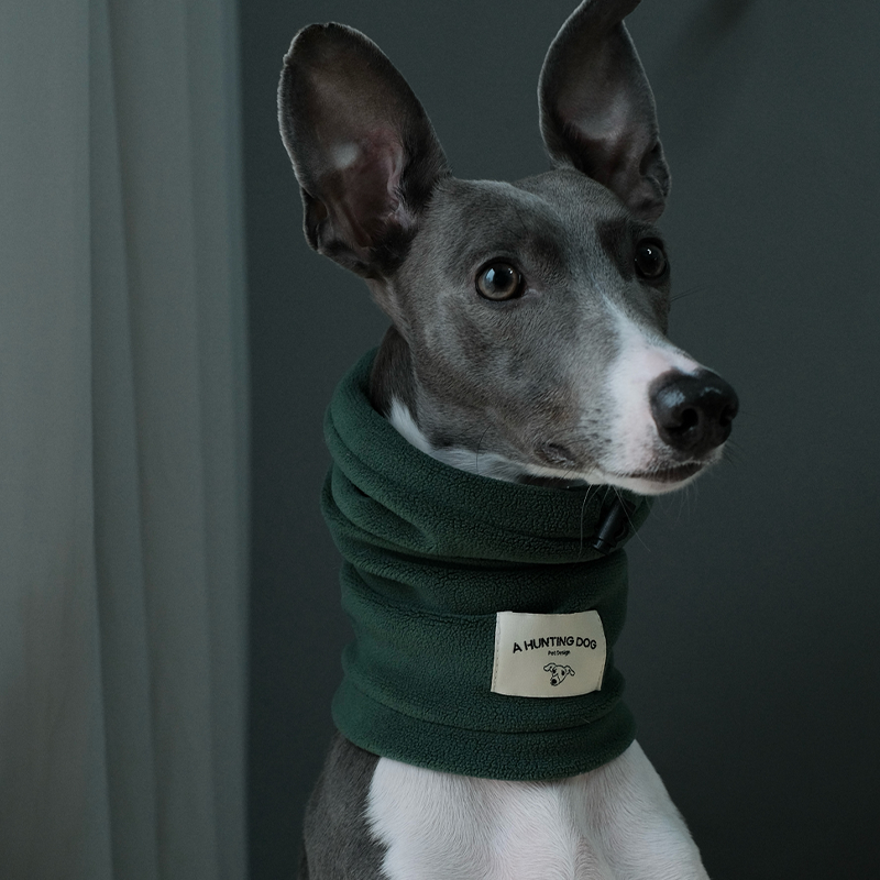 Thermal Windproof Hat Italian Greyhound Whippet Winter Dog Hat