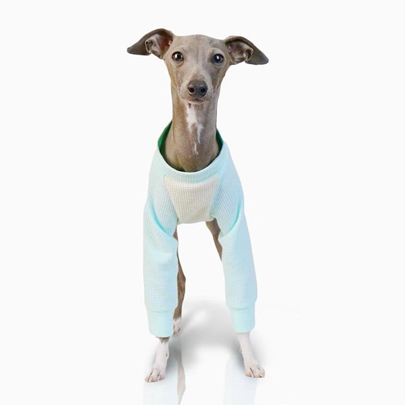Cotton Soft Shirt Italian Greyhound Whippet Dog Clothes - PIKAPIKA