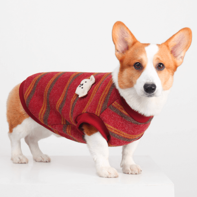 Festive Winter Dog Vest – Cozy Warmth for Cold Days