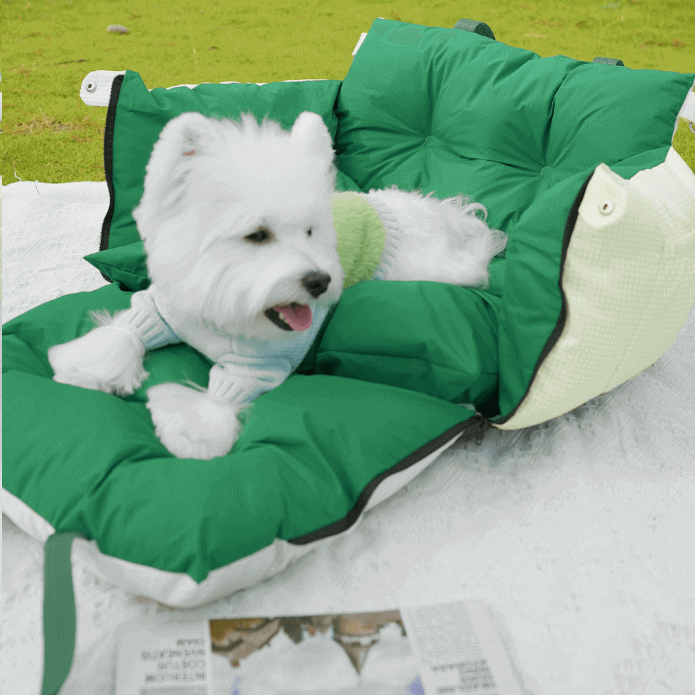 Large Pet Travel Carrier Bag for Dogs & Cats – 2-in-1 Home & Car Use