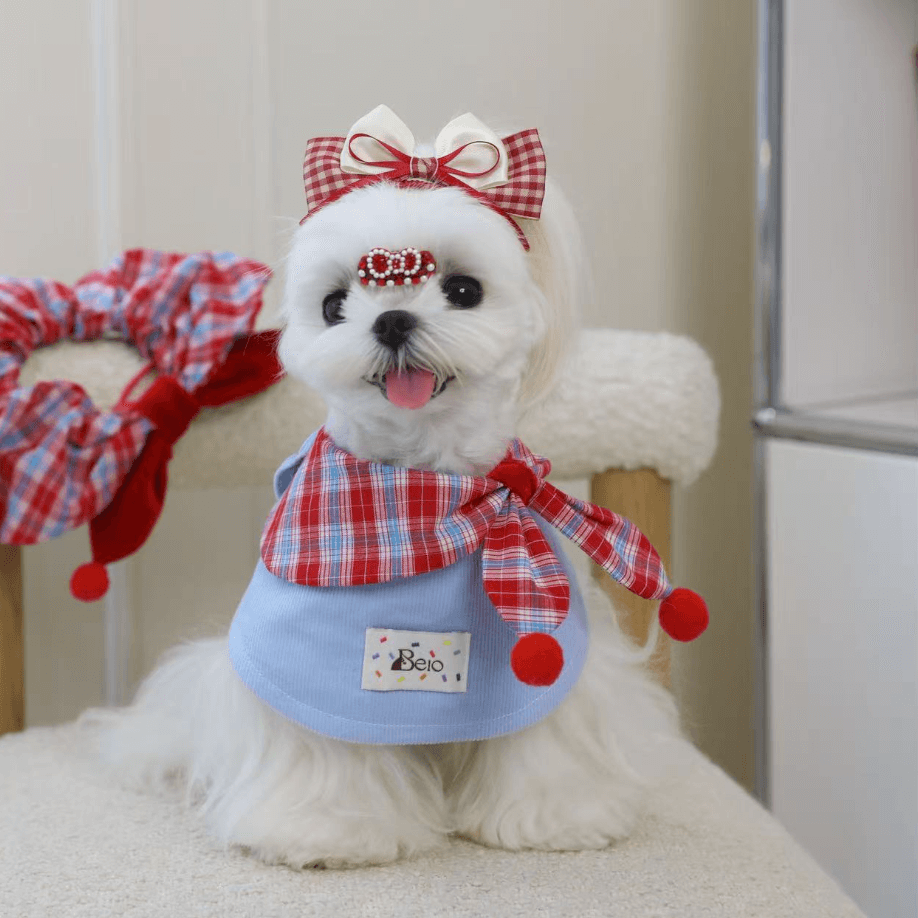 BELO Bow Dog Bib | Cute Pet Fashion Accessory