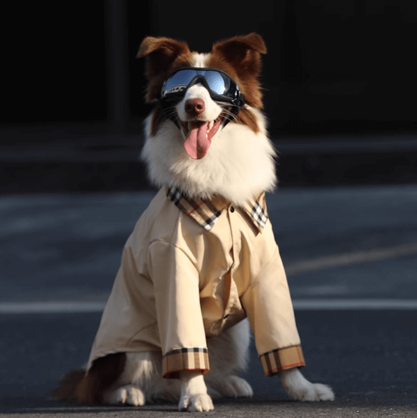Stylish Dog Trench Coat - Classic Tailored Pet Jacket