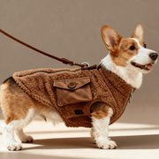 Corgi Winter Vest – Warm Traction Dog Coat