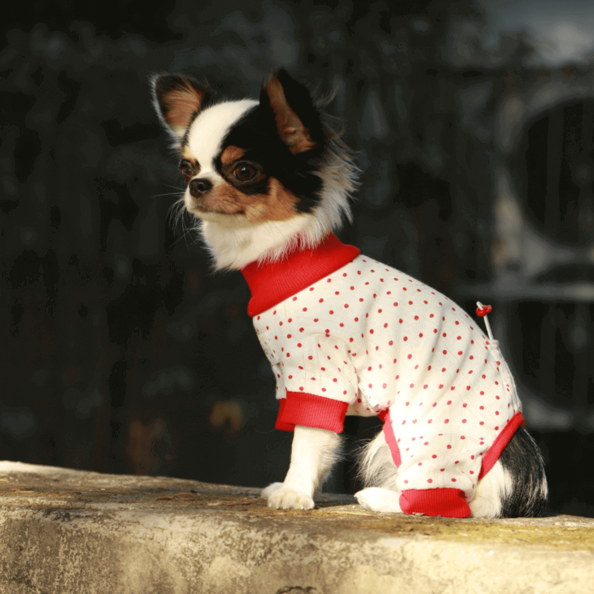 Red Polka Dot Dog Pajamas – Classic Holiday Onesie for Pets