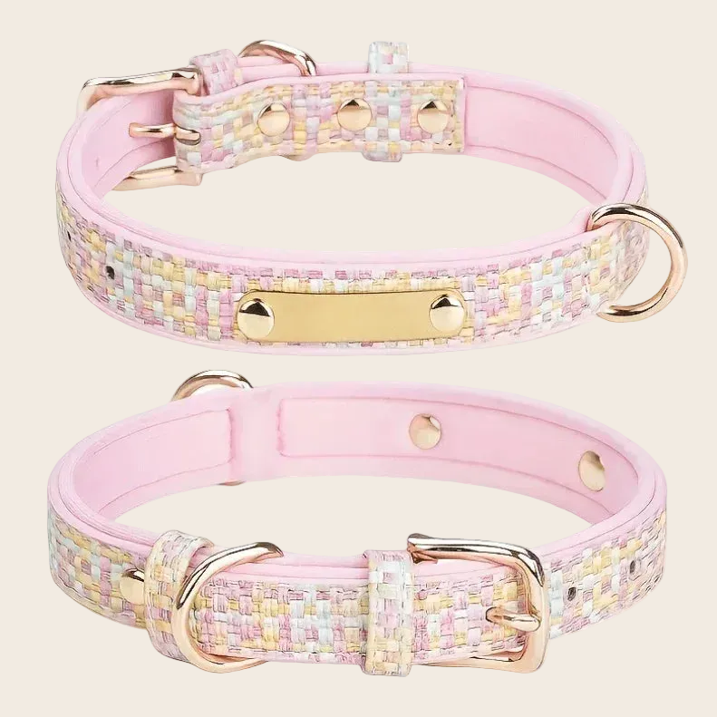 BELO No-Pull Dog Collar – Durable Anti-Pull Training Collar for Small & Medium Dogs - TAHUPET.co