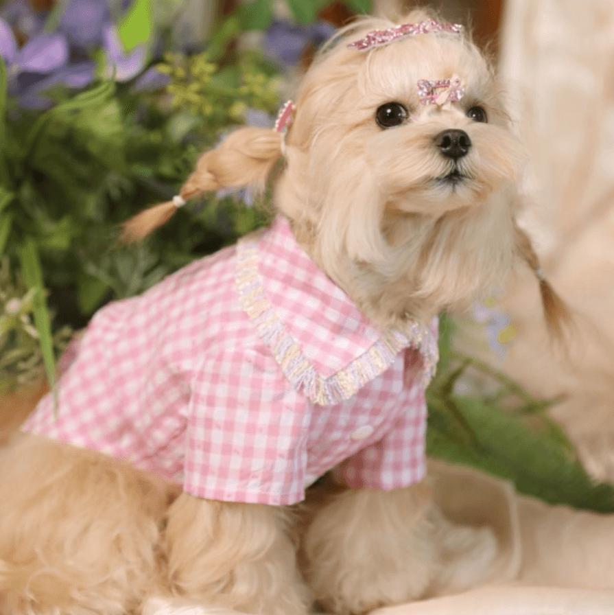 BELO Pink Plaid Dog Shirt – Classic Check Pet Outfit for Small Dogs & Puppies