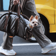 Pet Sling Carrier Tote Bag - Puffy Dumpling Style Dog Handbag