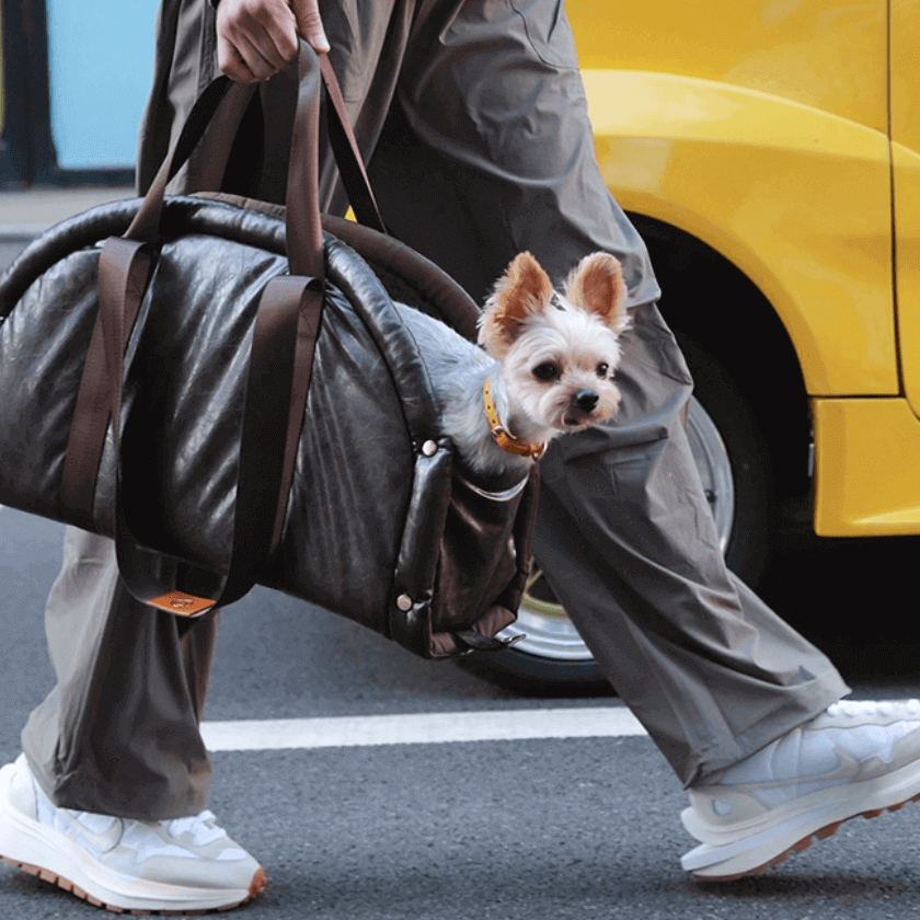 Pet Sling Carrier Tote Bag - Puffy Dumpling Style Dog Handbag