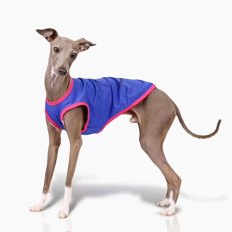 Cotton Soft Tank Top Shirt Italian Greyhound Whippet Dog Clothes - PIKAPIKA