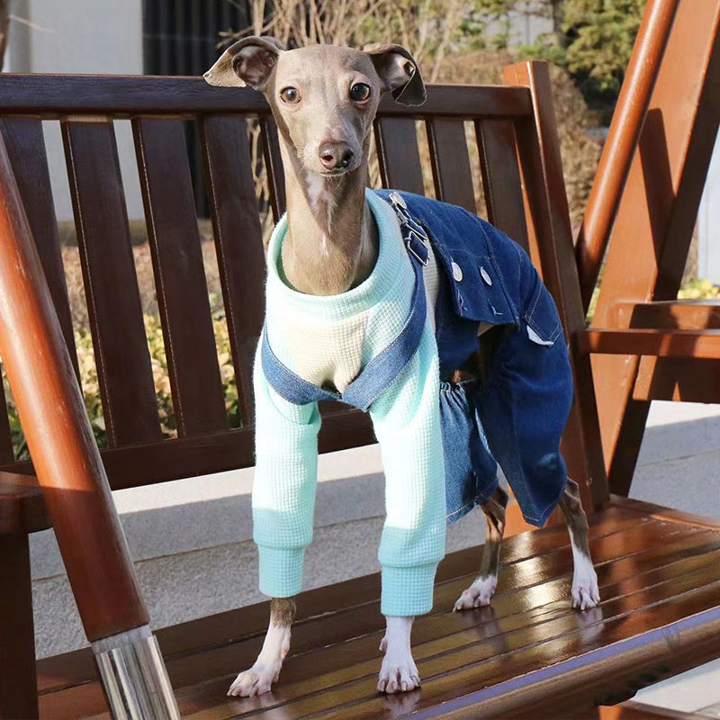 Denim Cotton Pants Italian Greyhound Whippet Dog Clothes - PIKAPIKA