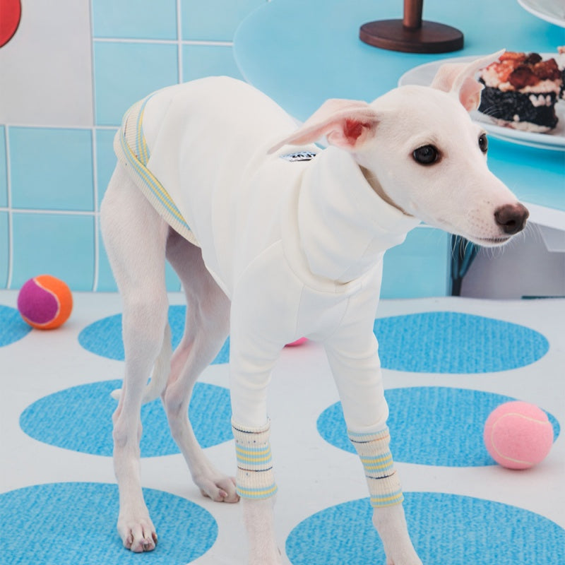 Soft Two-Leg Outfit Italian Greyhound Whippet Autumn Dog Clothes