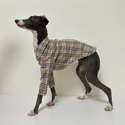 Soft Cotton Shirt for Italian Greyhound Whippet Dog Clothes - PIKAPIKA