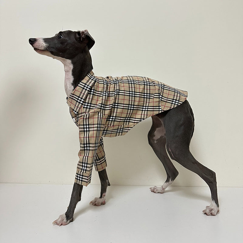Soft Cotton Shirt for Italian Greyhound Whippet Dog Clothes - PIKAPIKA