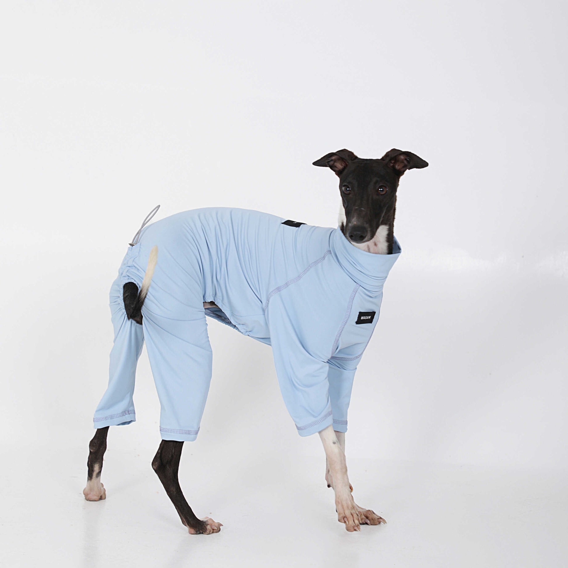 Cotton Soft Summer Onesie Italian Greyhound Whippet Dog Clothes - PIKAPIKA