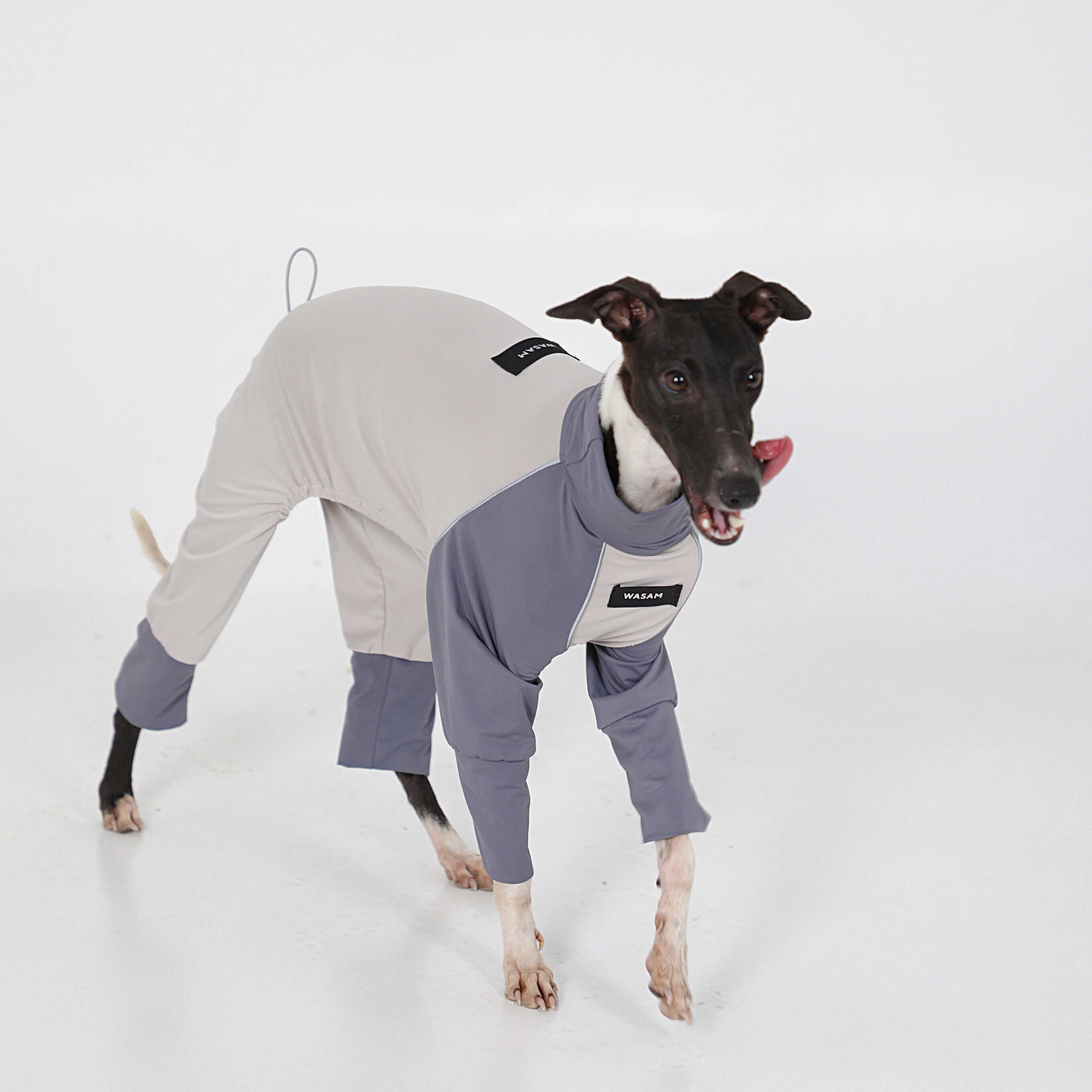 Cotton Soft Colorful Onesie Italian Greyhound Whippet Dog Clothes - PIKAPIKA