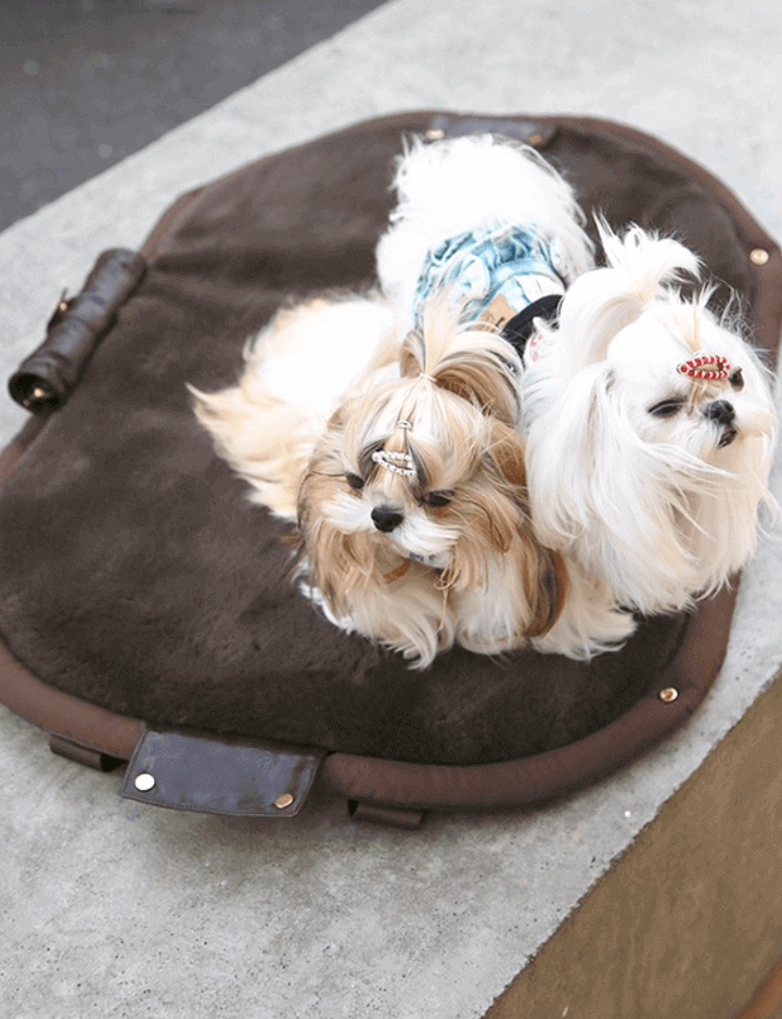 Pet Sling Carrier Tote Bag - Puffy Dumpling Style Dog Handbag