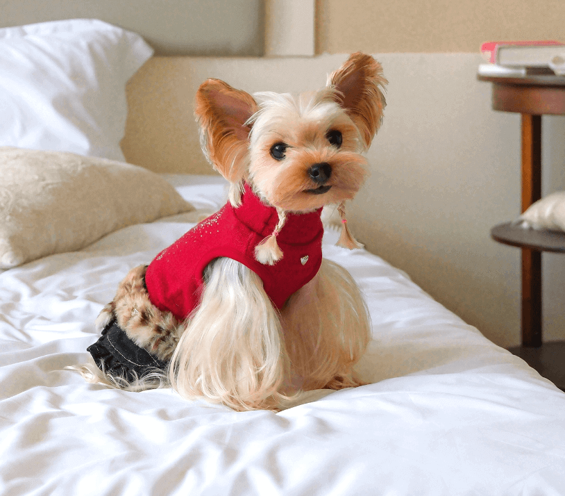 Small Dog Dress Sweet Harajuku Style Leopard Print Sweater Size XS-XL