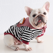 Bulldog Sweatshirt Set – Plaid Vest with Scarf