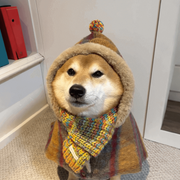 Winter Warm Cat Cape – Thickened Fleece Pet Cloak