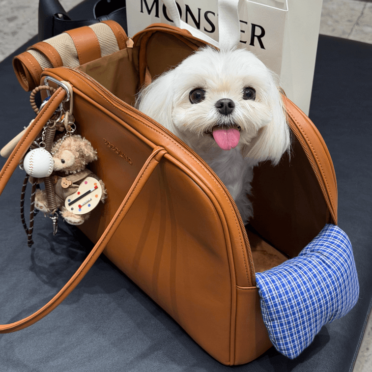 Pet Carrier with PU Leather & Removable Base - Scratch-Resistant Pet Travel Bag