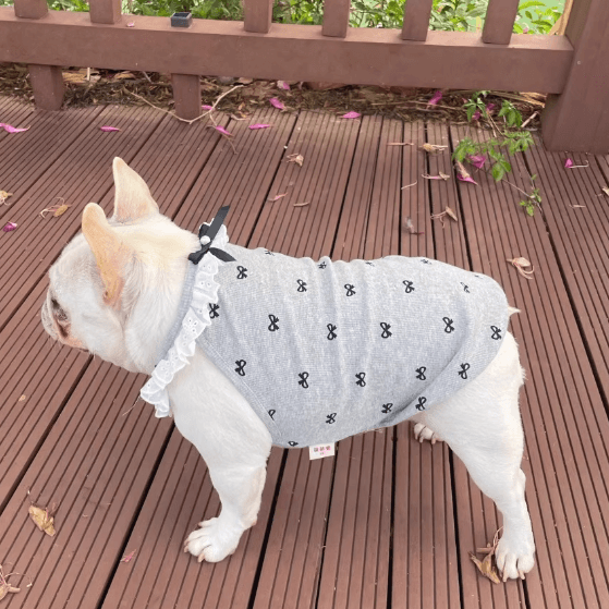 Butterfly Lace Pet Camisole – Stretchy Knit Dog Top