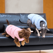 Winter Warm Pet Jacket – Furry Button-Up Dog/Cat Vest