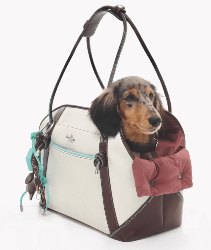 Small Dog Tote Bag, 3-Level Waterproof Pad & Escape-Proof Buckle for Outings + exquisite puppy bag hanging
