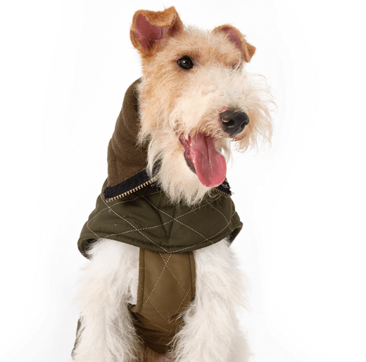 Two-Tone Dog Cape - Reversible Quilted Coat for Pets