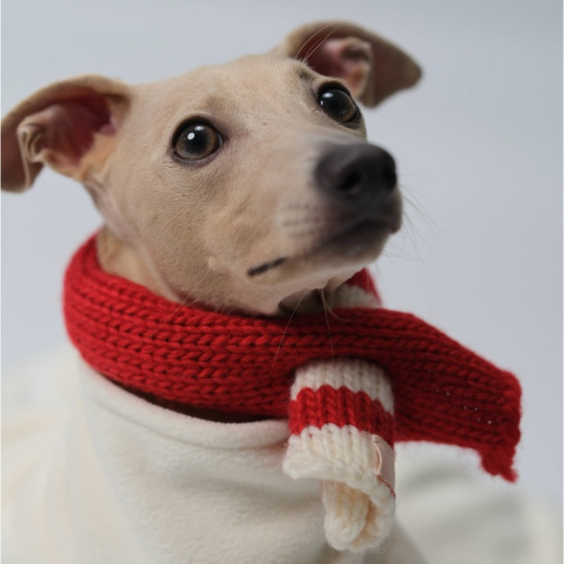 Christmas New Year Striped Color Block Scarf for Dogs Italian Greyhound Whippet