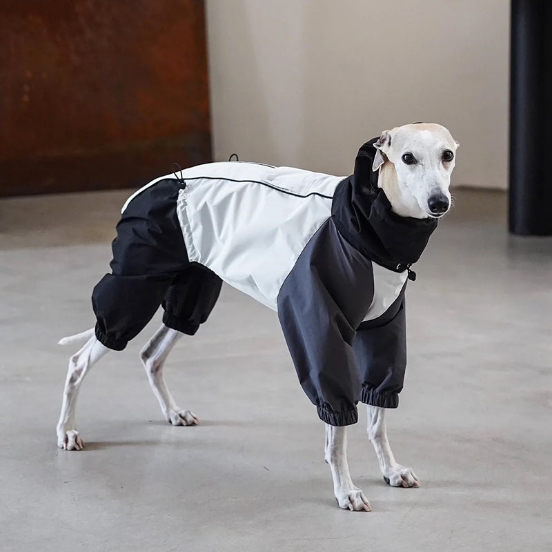 Outdoor Jacket Waterproof Windproof Raincoat Italian Greyhound Whippet Clothes - PIKAPIKA
