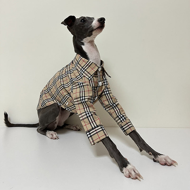Soft Cotton Shirt for Italian Greyhound Whippet Dog Clothes - PIKAPIKA