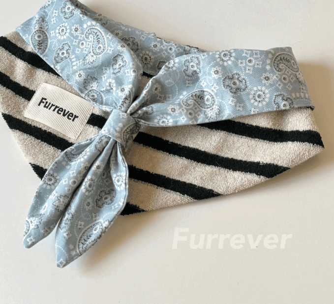 Pet Bandana Navy Summer Boyish Style Cotton Size M