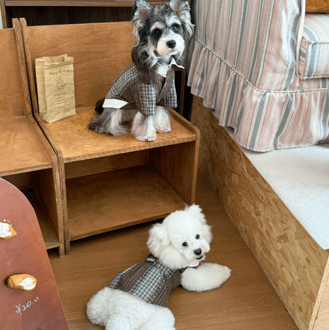 Pet Shirt Plaid Flannel Two Piece Outfit Red Size XXS-XL