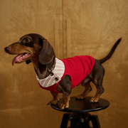 Kentish Berry Dog Tee – Stylish Striped Cat & Dog Top