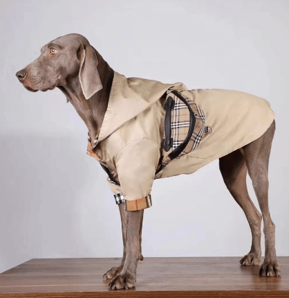 Windproof Dog Coat - Thermal Warm Jacket for Dogs