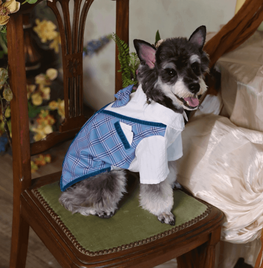 BELO Bowtie Faux Two-Piece Pet Outfit – Stylish Design