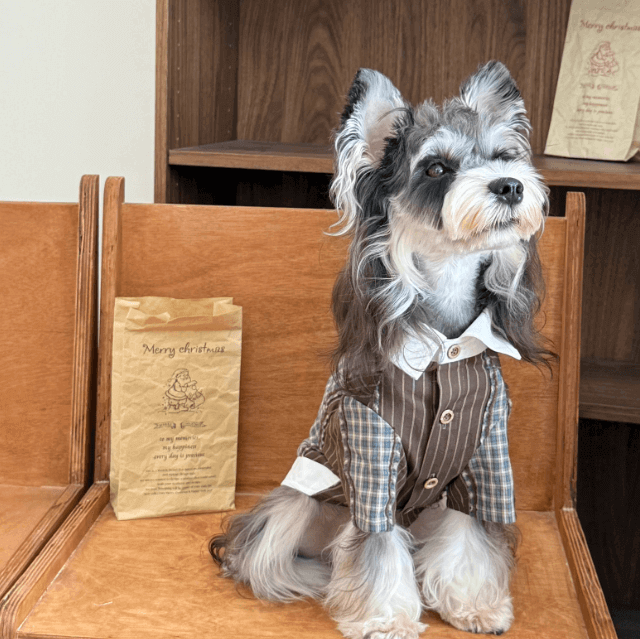 Pet Shirt Plaid Flannel Two Piece Outfit Red Size XXS-XL