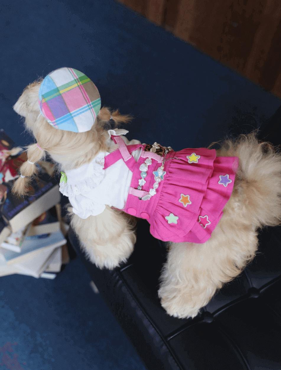 BELO Red Suspender Dress – Chic Dog Outfit for Small Pets