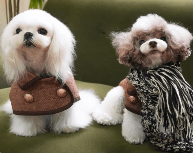 Brown Dog Coat - Classic Trench Style for All Breeds