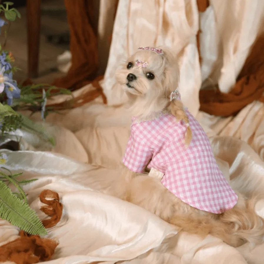 BELO Pink Plaid Dog Shirt – Classic Check Pet Outfit for Small Dogs & Puppies - TAHUPET.co
