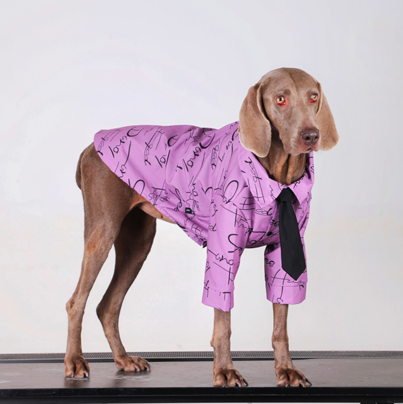 Big Dog Clothes Cotton Shirts with Tie Casual - PIKAPIKA