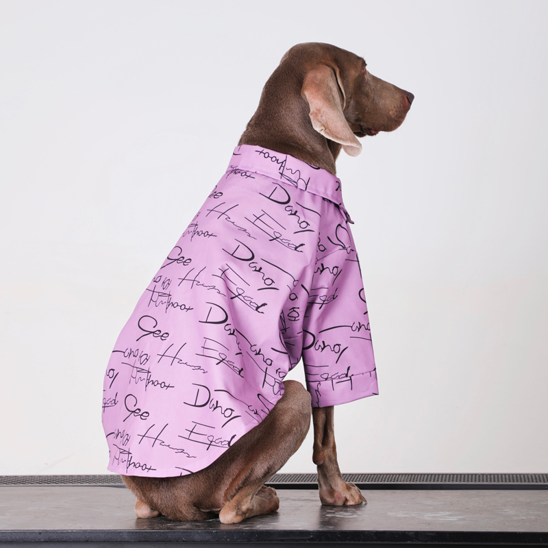 Big Dog Clothes Cotton Shirts with Tie Casual - PIKAPIKA