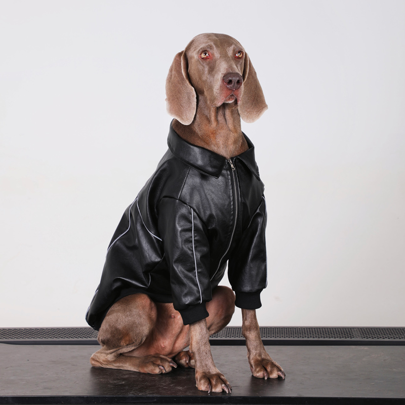 Big Dog Clothes PU Jacket Winter Zip Coat - PIKAPIKA