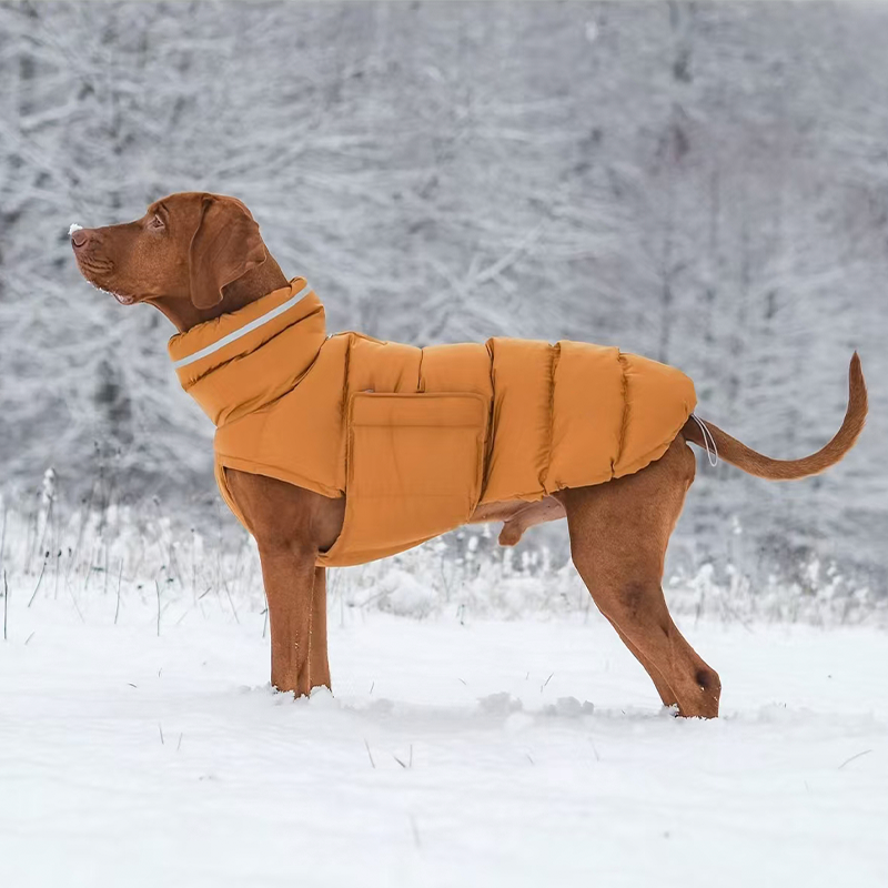 Cotton Padded Jacket Vest for Italian greyhound Whippet - PIKAPIKA