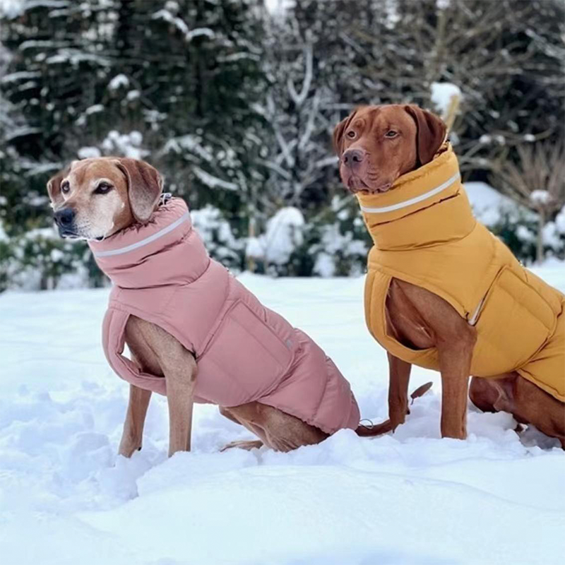 Cotton Padded Jacket Vest for Italian greyhound Whippet - PIKAPIKA