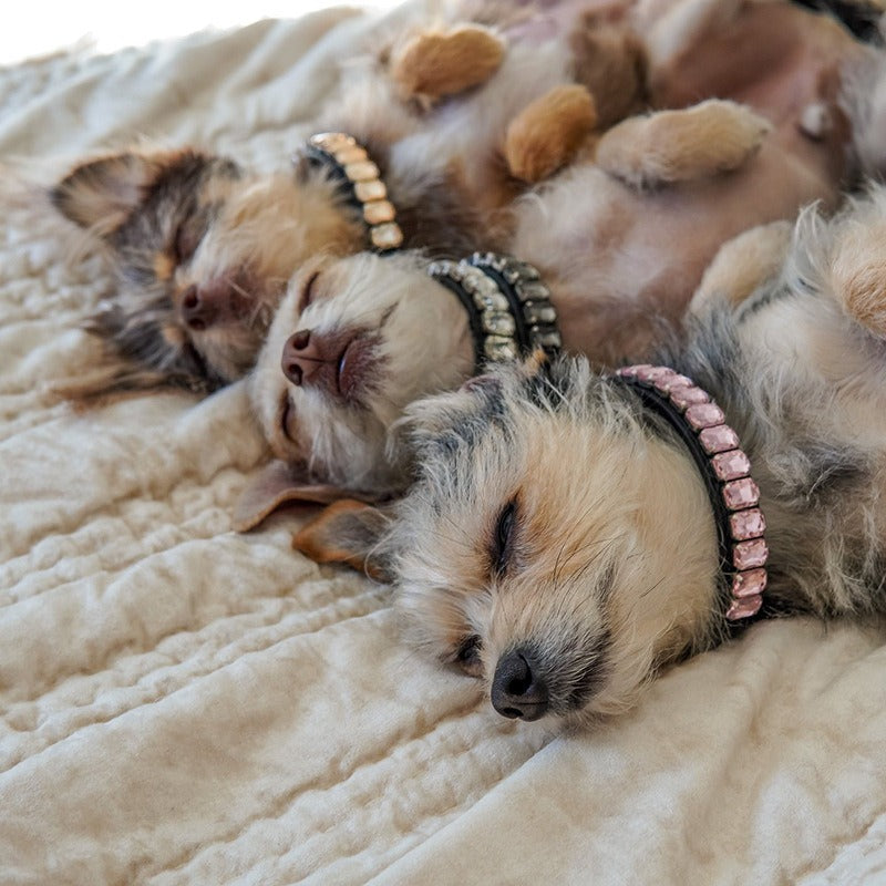 Dog Collar Rhinestone Necklace PU Leather Shiny Faux Diamond - PIKAPIKA